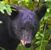 Lennie Thompson's profile image