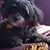 Tracy Stumo-Langer's profile image