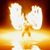 Mario Tremblay's profile image