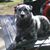 Scott Biemeret's profile image