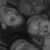 Stephen N Eddie Inman-Crawley's profile image