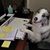 Kevin Brown's profile image