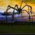 Shawyn Anderson's profile image
