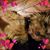 Cheryl Robinson's profile image