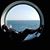 Michelle Virella Fox's profile image