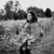 Monique Lares-Garcia's profile image