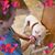 Linda Grover's profile image