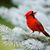 Wayne Birdwell's profile image