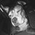 Kristi Burse's profile image