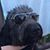 Maria Aliza's profile image