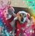 Kimberly Juhas-Davis's profile image