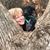 Amy Keller Krekelberg's profile image