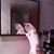 Wendy Hopkins's profile image