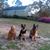 Judith Matz Crawford's profile image