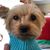 Anita Coburn Crittenden's profile image