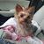 Lori Eaves Taranovich's profile image