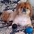 Tammy Hall's profile image