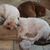 Valerie Stubblefield's profile image