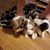 Glenna M Russo's profile image