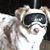 Marci Williams's profile image