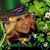 Kim L. Koehl's profile image