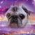 Paul Nichols's profile image