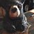 Faith Lorenzo Kline's profile image