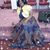 Michelle Anderson's profile image