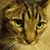 Raney T Edmiston's profile image