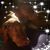 Allison June's profile image