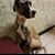 Stephanie Hermreck's profile image