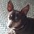 Roann Nowark's profile image