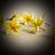Darlene Blake's profile image