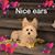 France Lio's profile image