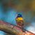 Dianne Heissner's profile image