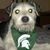 Dave Clarke's profile image