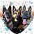 Paula Flud's profile image