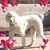 Jill Holley's profile image