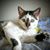 Judy Langemo Roth's profile image