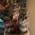 Sally King's profile image