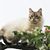 Sharon Eickenroth Mitchell's profile image