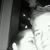 Chris Guthrie's profile image