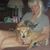 Carol LaManna's profile image