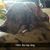 Amanda N Chris Adamson's profile image