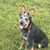 Tim Skeen's profile image