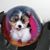 Ruth Gladson's profile image