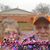 Suzanne Elizabeth Siler's profile image