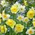Kathy Vargo DeNardo's profile image