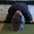 Carol Castellan's profile image
