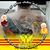 Kiet Ngo's profile image